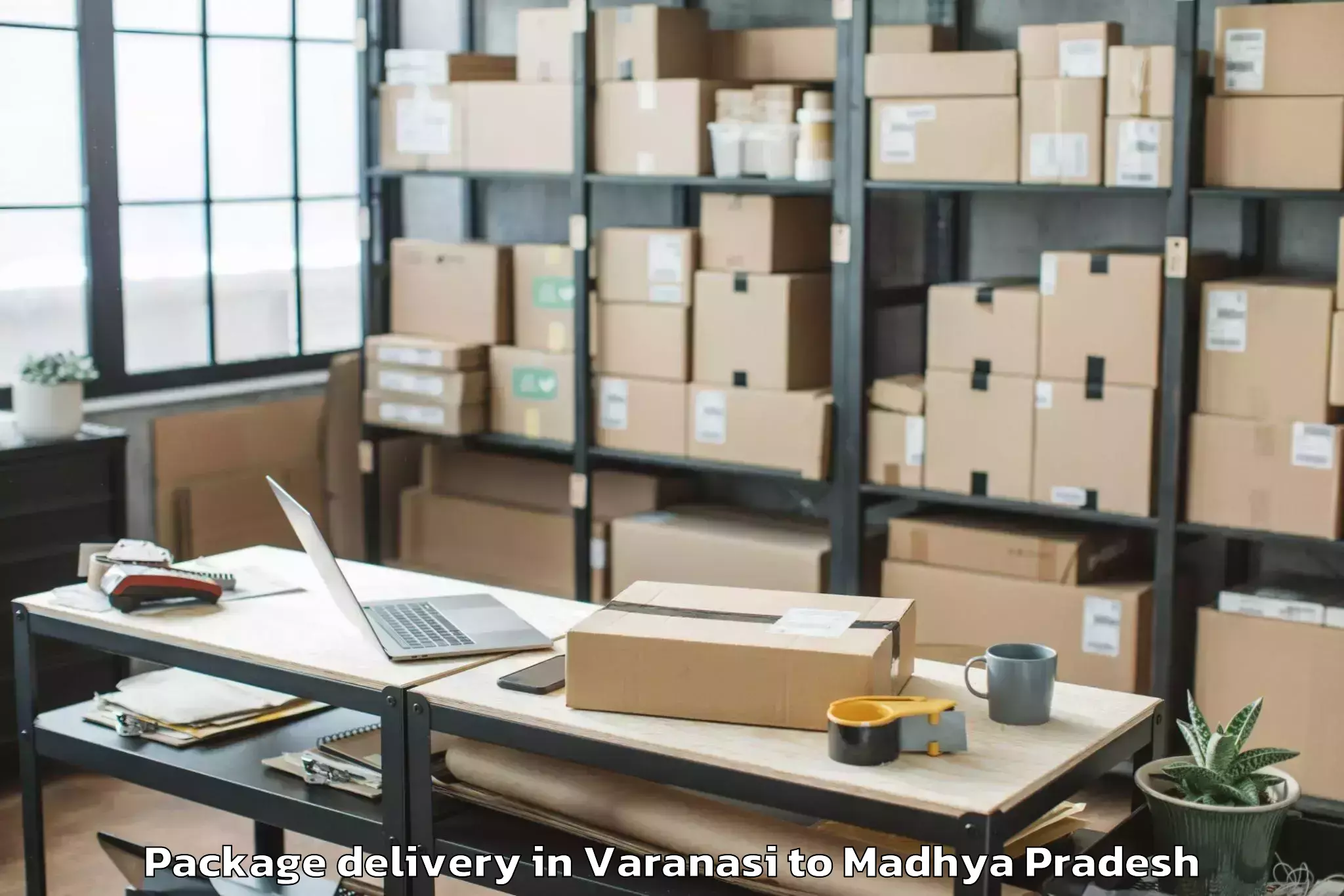 Affordable Varanasi to Madhyanchal Professional Unive Package Delivery